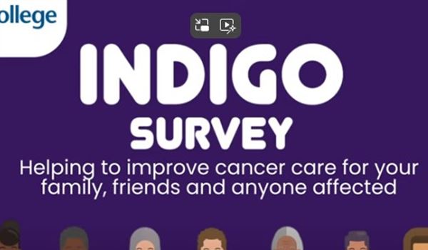 indigo survey